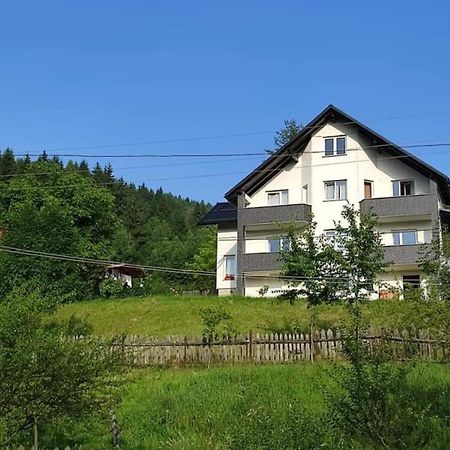 Villa Casa Danci Centru Borşa Esterno foto