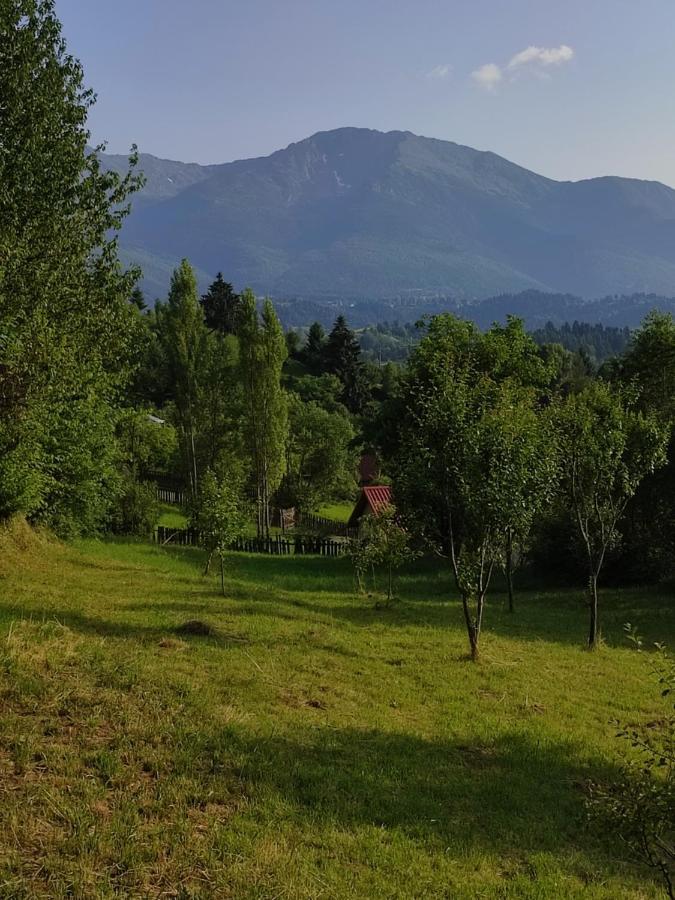 Villa Casa Danci Centru Borşa Esterno foto