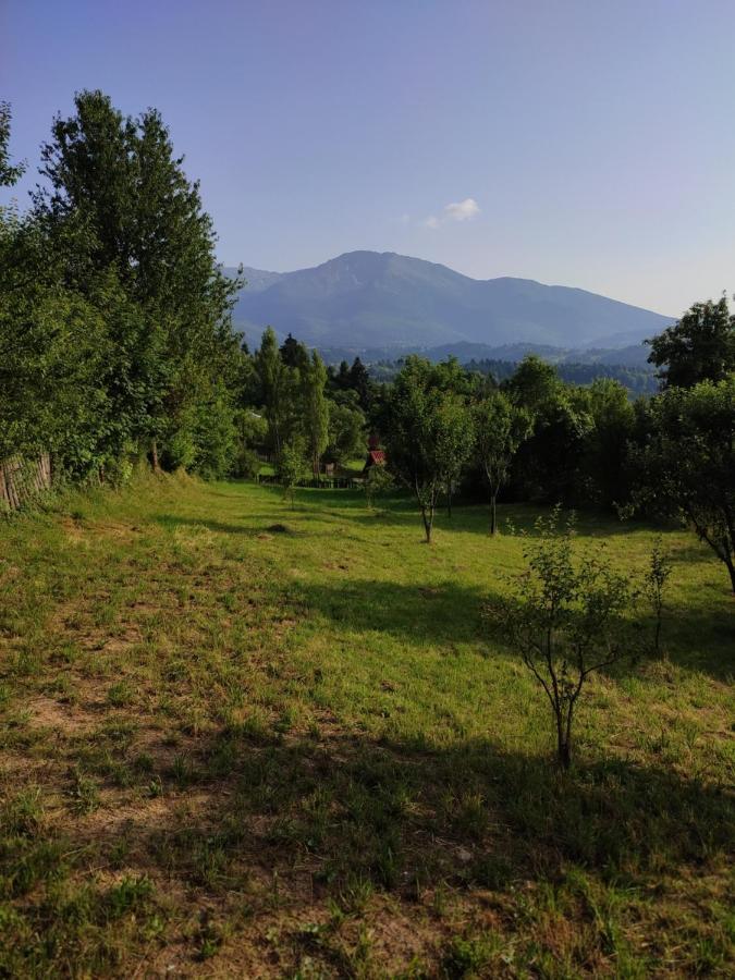 Villa Casa Danci Centru Borşa Esterno foto