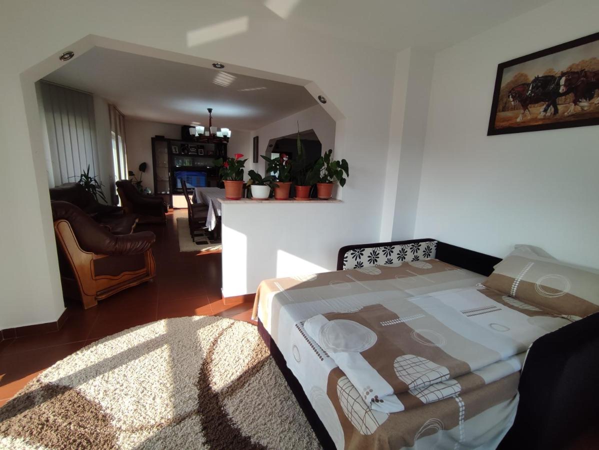 Villa Casa Danci Centru Borşa Esterno foto