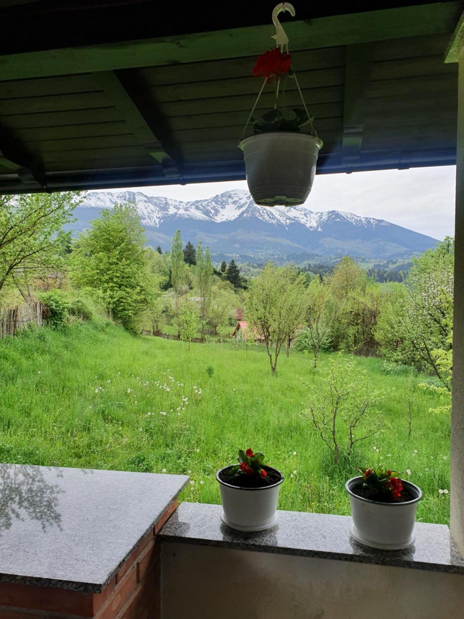 Villa Casa Danci Centru Borşa Camera foto